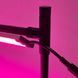 Потужний 38 Вт LED Фіто-Світильник біколор спектру ML38 Violet для вирощування рослин, розсади, квітів на регульованій стійці LS40Bicolor фото 11