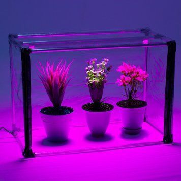 Sezam L Duo Bicolor sezamLB2 фото