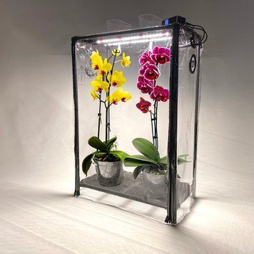 Мини-теплица для орхидей и тропических растений Orchid Black - увлажнитель, фитосвет, таймер SezO фото