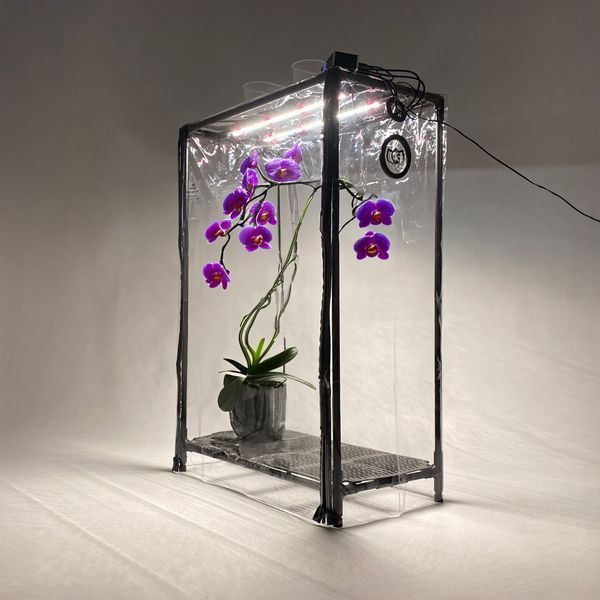 Мини-теплица для орхидей и тропических растений Orchid Black - увлажнитель, фитосвет, таймер SezO фото