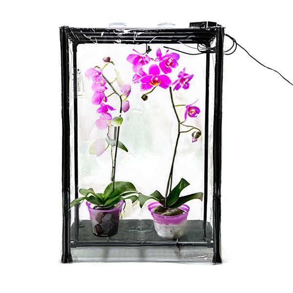 Мини-теплица для орхидей и тропических растений Orchid Black - увлажнитель, фитосвет, таймер SezO фото