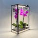 Мини-теплица для орхидей и тропических растений Orchid Black - увлажнитель, фитосвет, таймер SezO фото 3
