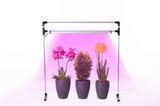LED Лампа для растений DUO Bicolor на подоконник. Фито лампа для комнатных растений, рассады, цветов, орхидей, микрозелени. MetaFlexDuoBi фото