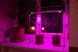 LED Лампа для рослин DUO Bicolor на підвіконня MetaFlexDuoBi фото 9
