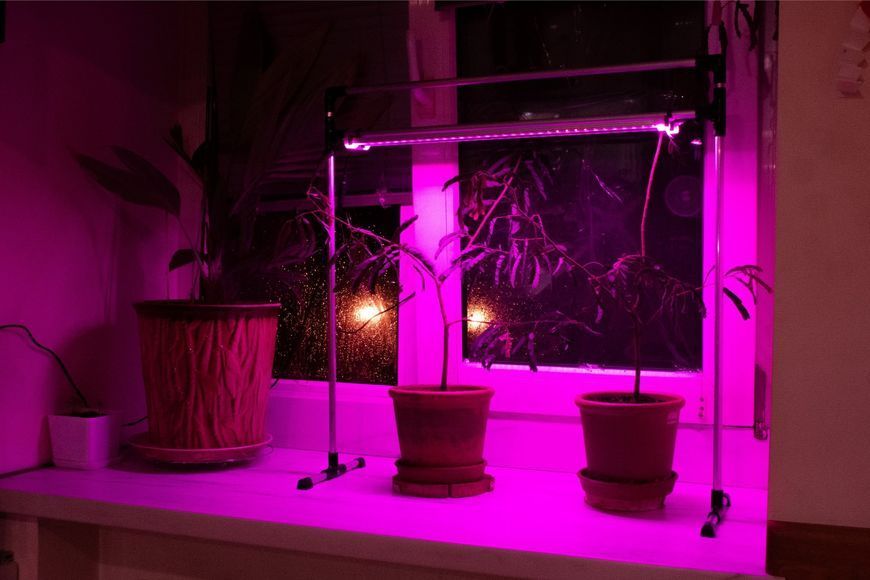 LED Лампа для рослин DUO Bicolor на підвіконня MetaFlexDuoBi фото