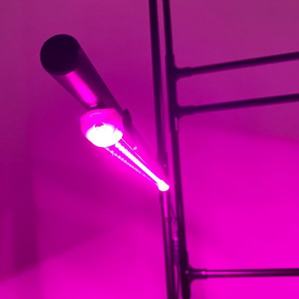 Напольная ступенчатая подставка для цветов Barva Bicolor с фитолампами, высокая, металлическая с подвесом горшков и кашпо BarvaBi фото