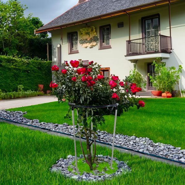 Кольцевая опора Pivonia D50*80 см для растений. Металлическая. Pivonia фото